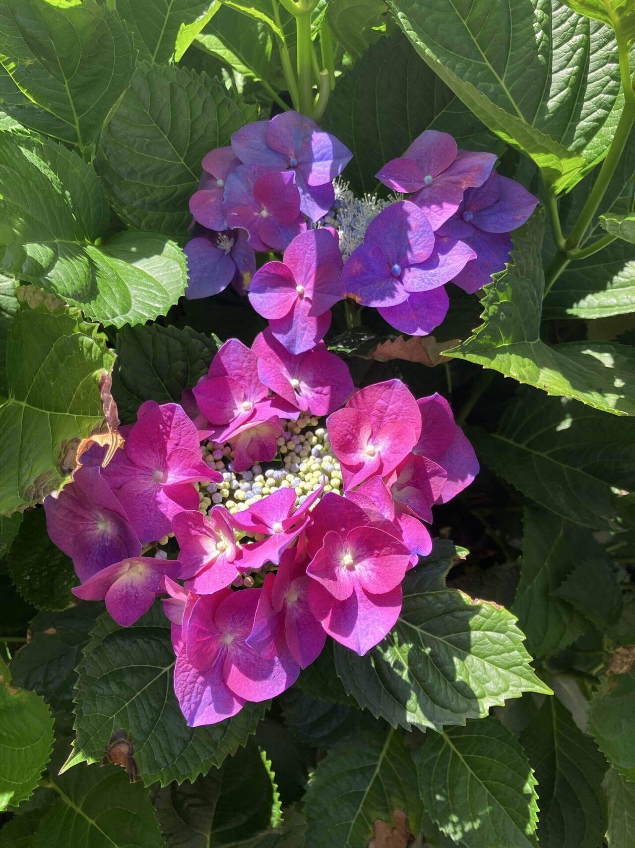 NZ旅行]ニュージーランドに来て意外だったこと｜BAKENOKAWA