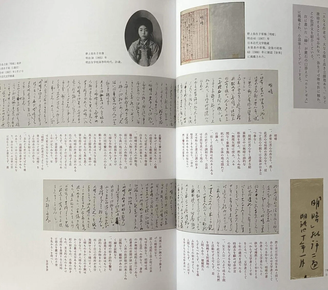 夏目漱石と野上豊一郎・弥生子｜みゃおん