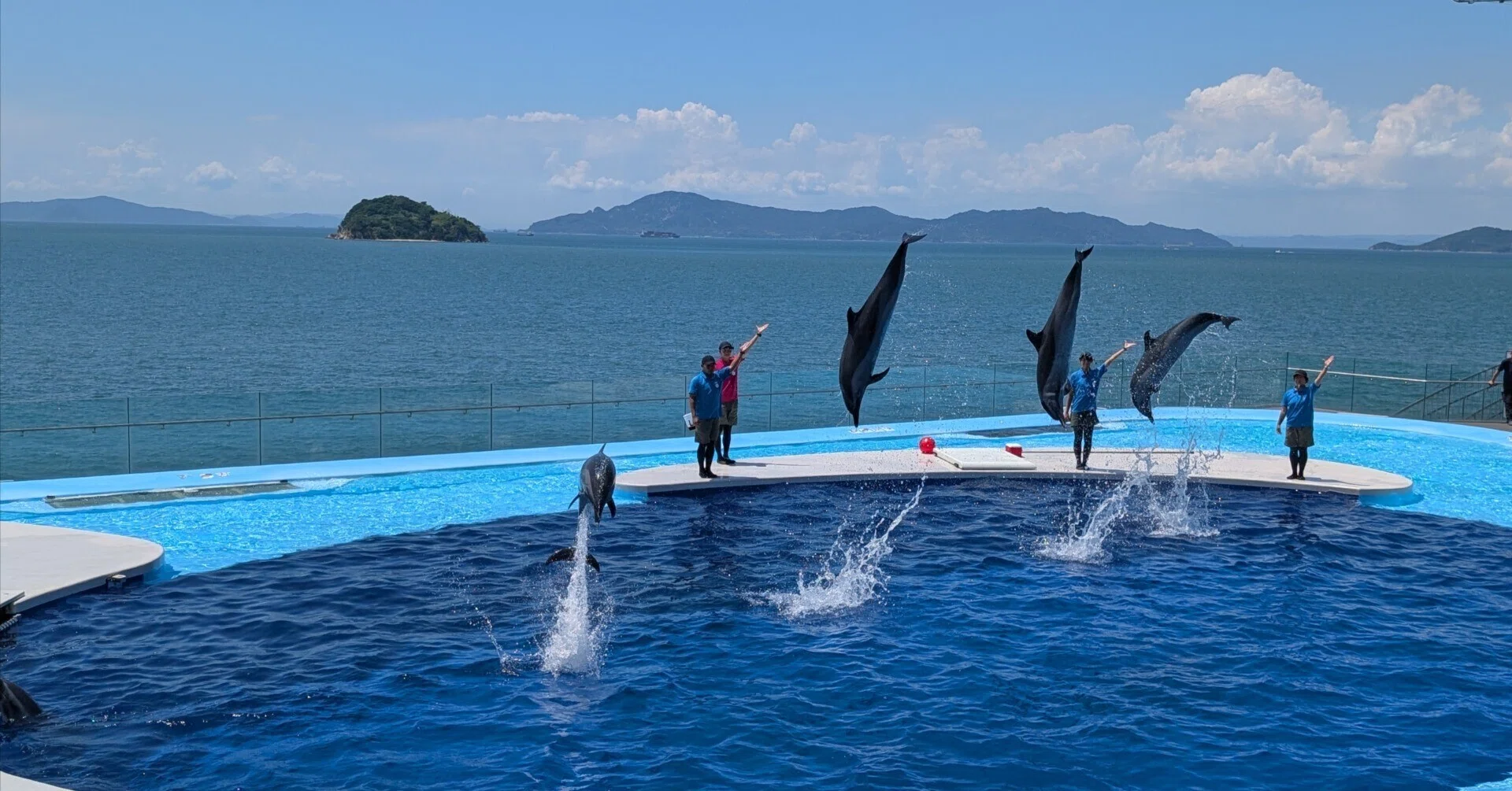 オリジナルソングで水族館を盛り上げろ！〜地方創生音楽プロデューサー