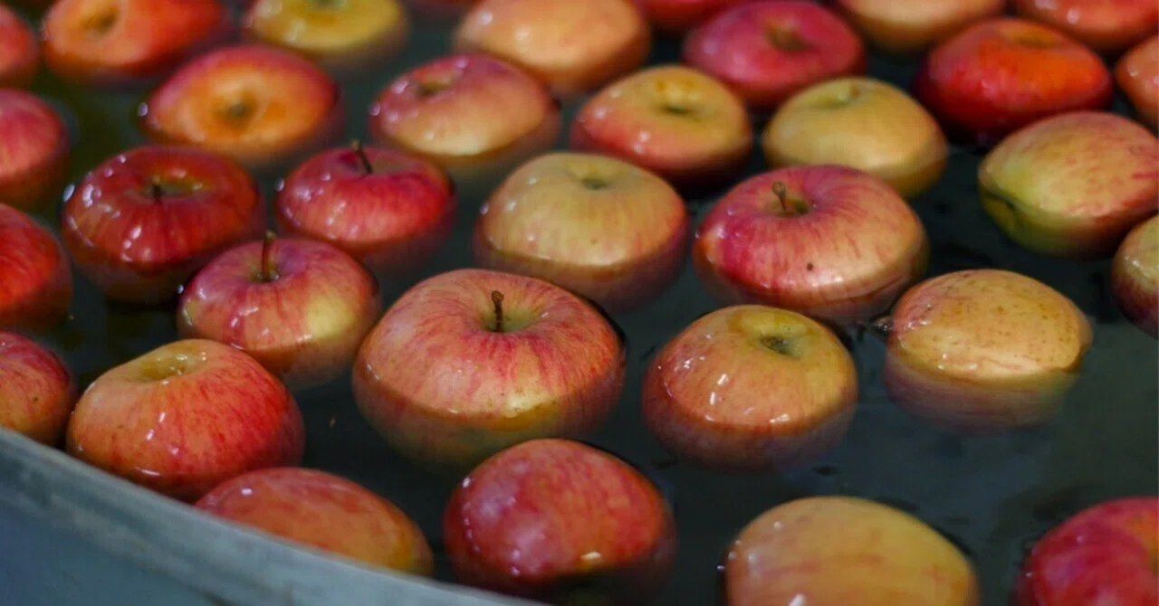Mellow apple vinegar woven from Central Alps underflow water and ...