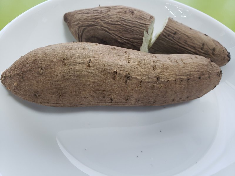 食べた かんしょ農林1号 渡邊さゆり Note 食べた かんしょ農林1号 渡邊さゆり Note