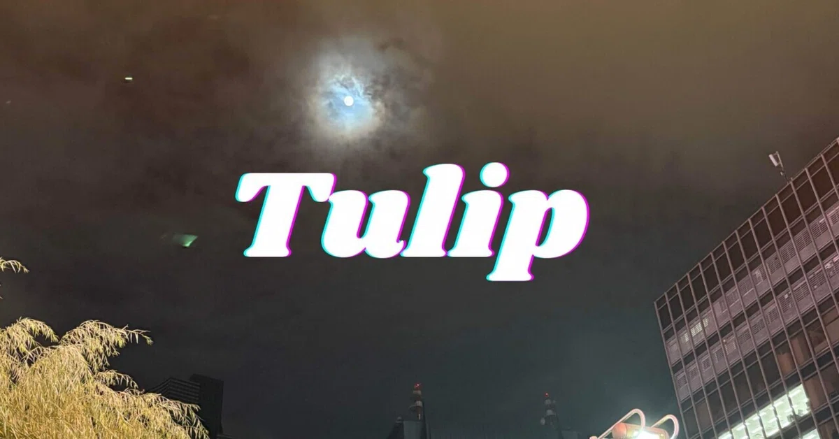 TULIP : episode 1｜詠巳｜note