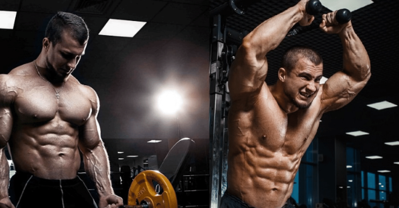 筋トレ 筋トレギア 筋トレ 筋トレギア 筋トレギア ZX DAMPER 詳細情報