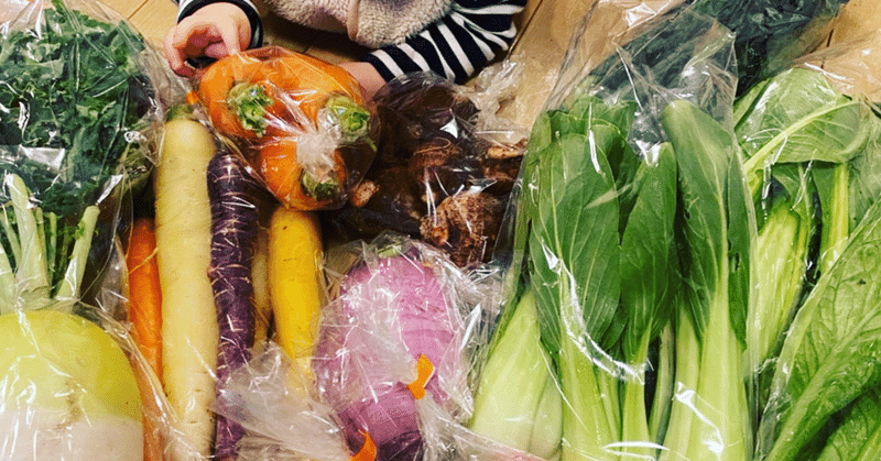 野菜の定期購入のすすめ　富士山の恵みファーム