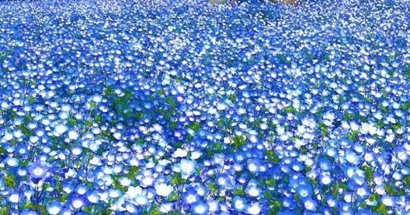 スピリチュアル にも注意が必要です やまもとたかし note