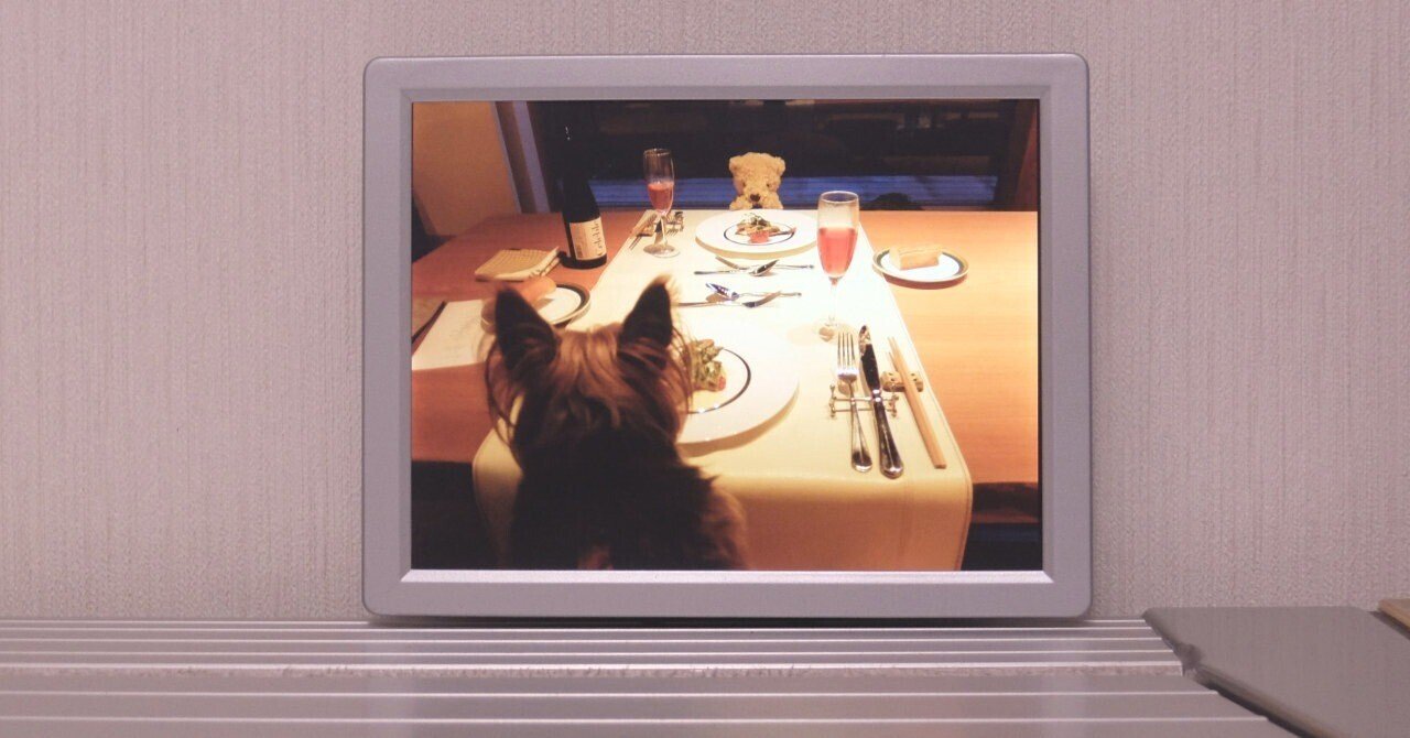 hide デジタルフォトフレーム【激レア】 デジタルフォトフレーム KDF-100 | ケンコー・トキナー