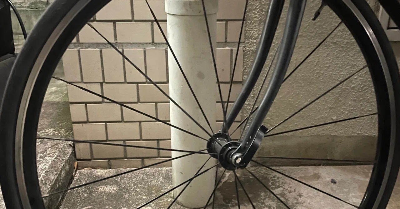 The custom-built front wheel ordered from Blue Lug has arrived | A ride ...