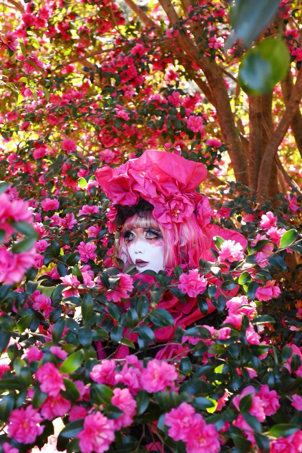 花言葉シリーズ「山茶花」｜minori