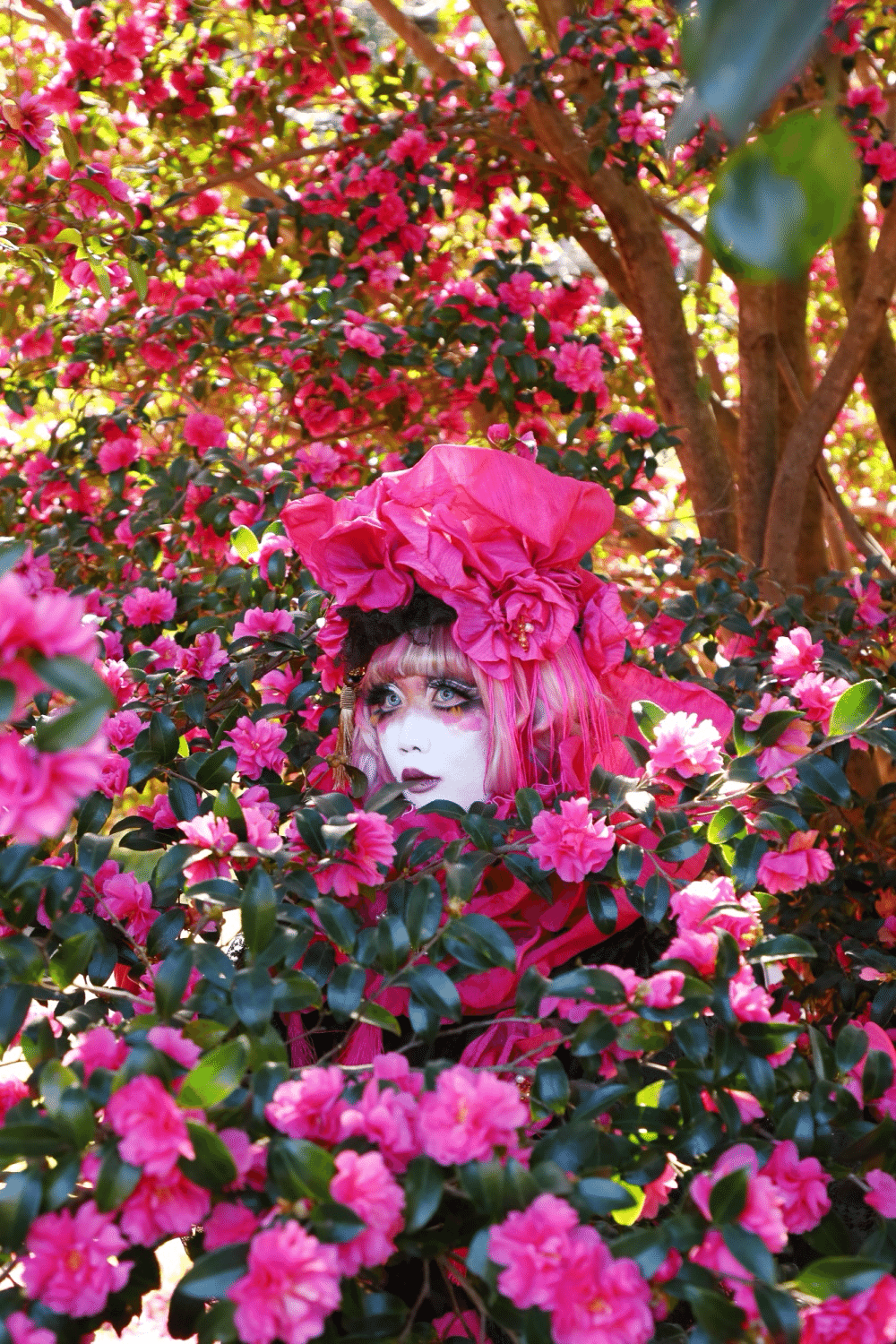 花言葉シリーズ「山茶花」｜minori