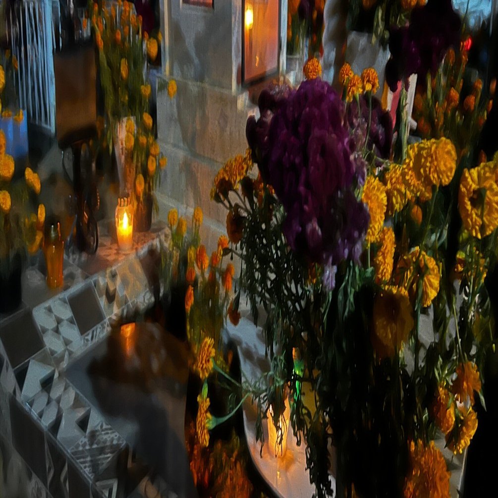 メキシコ旅🇲🇽〜オアハカ編⑤死者の日にXoxocotlan（ホホコトラン）の