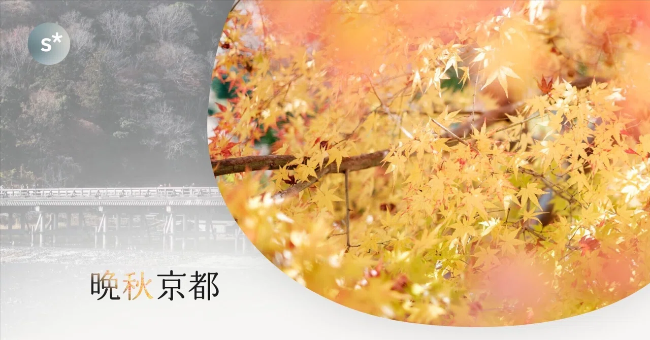 晩秋京都〈後編〉｜犬と巡った、少し慌ただしく濃密な一日｜Yusuke Miura