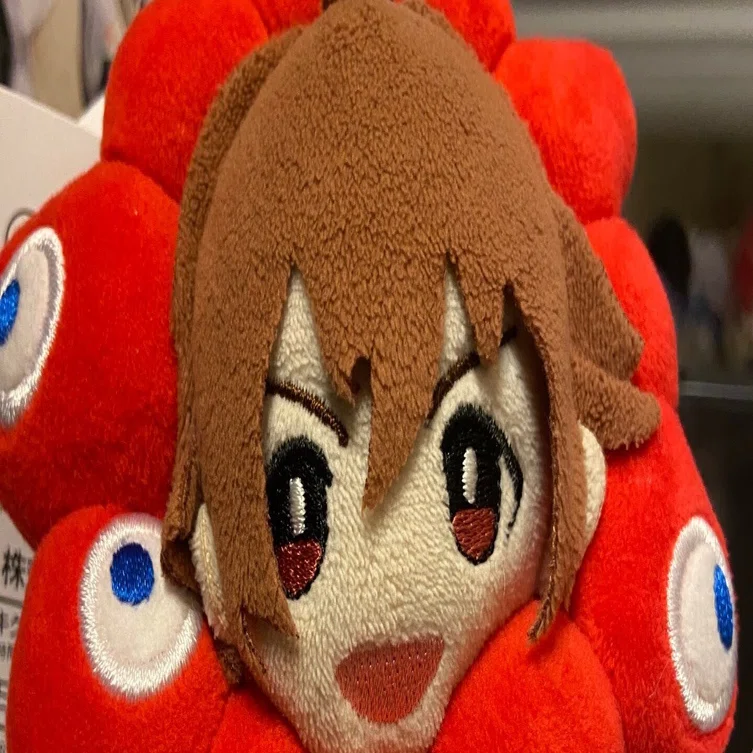 続・天ヶ瀬のぬいヶ瀬を語る｜か