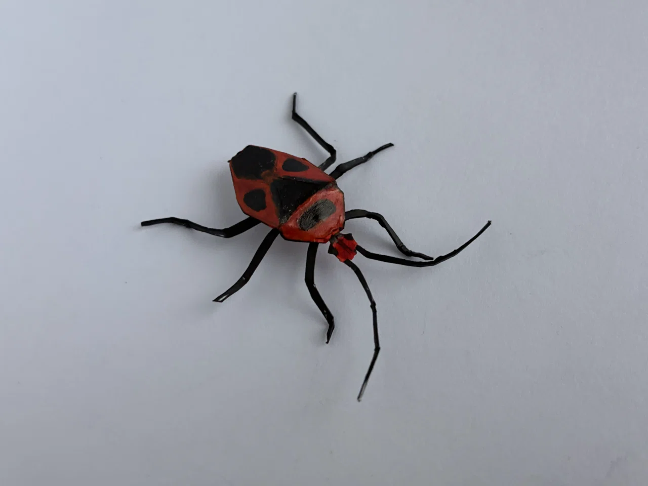 タトウ 虫けら屋の「ちょっと虫採り行ってくる！」 新開 コスミィの
