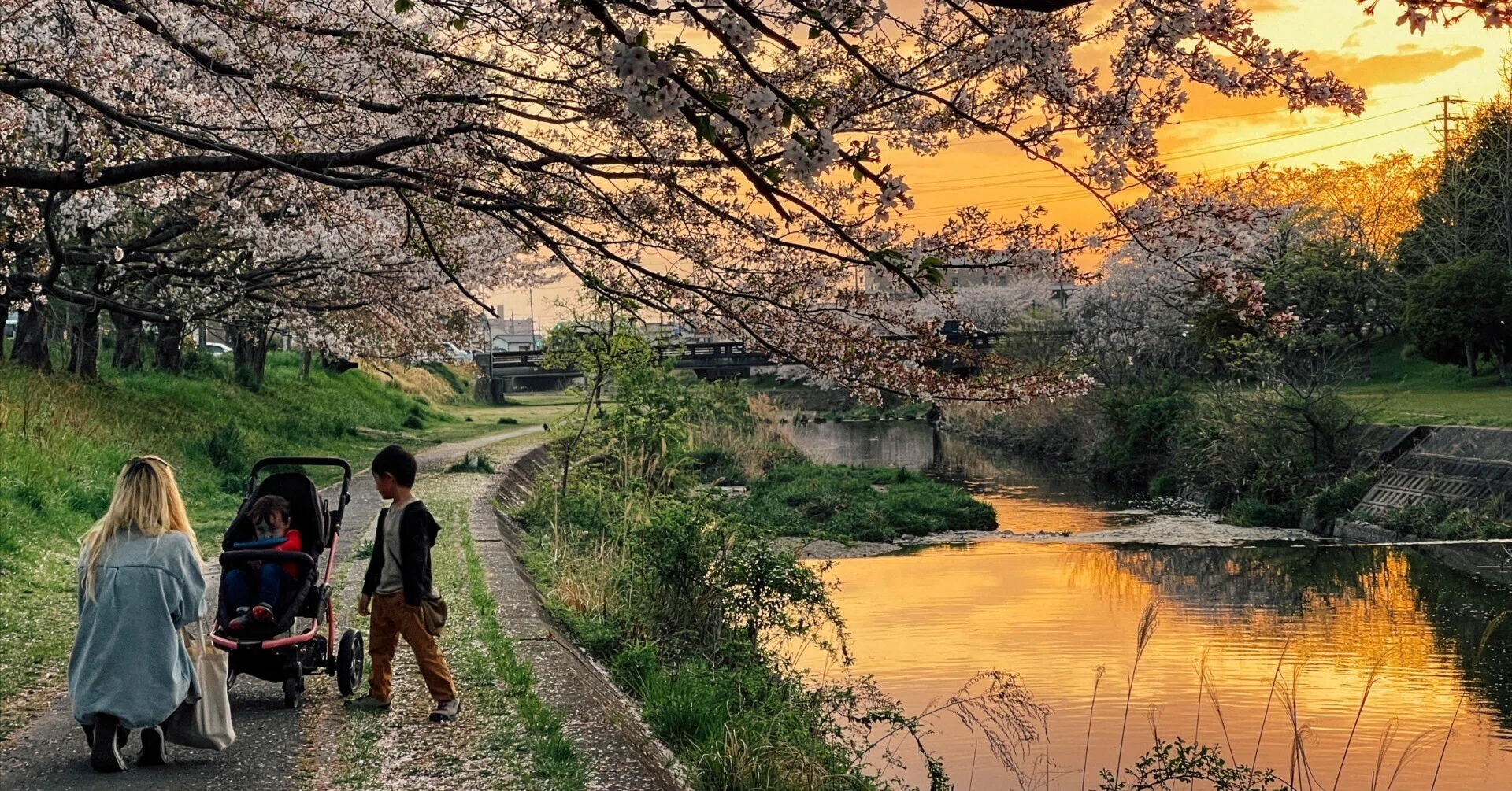 堀太郎 油絵 　名古屋桜の名所『山崎川』 風景画 堀太郎 油絵 名古屋桜の名所『山崎川』 風景画