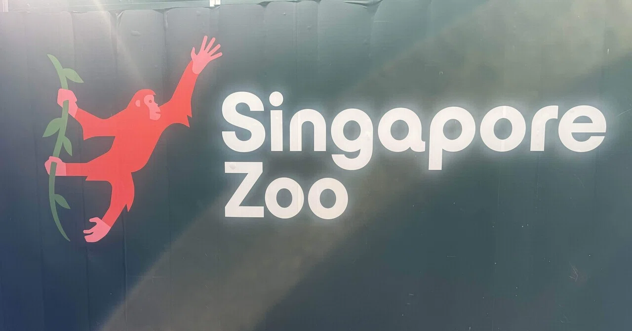 シンガポール動物園 ズートピアイベント参加｜ビジット太郎
