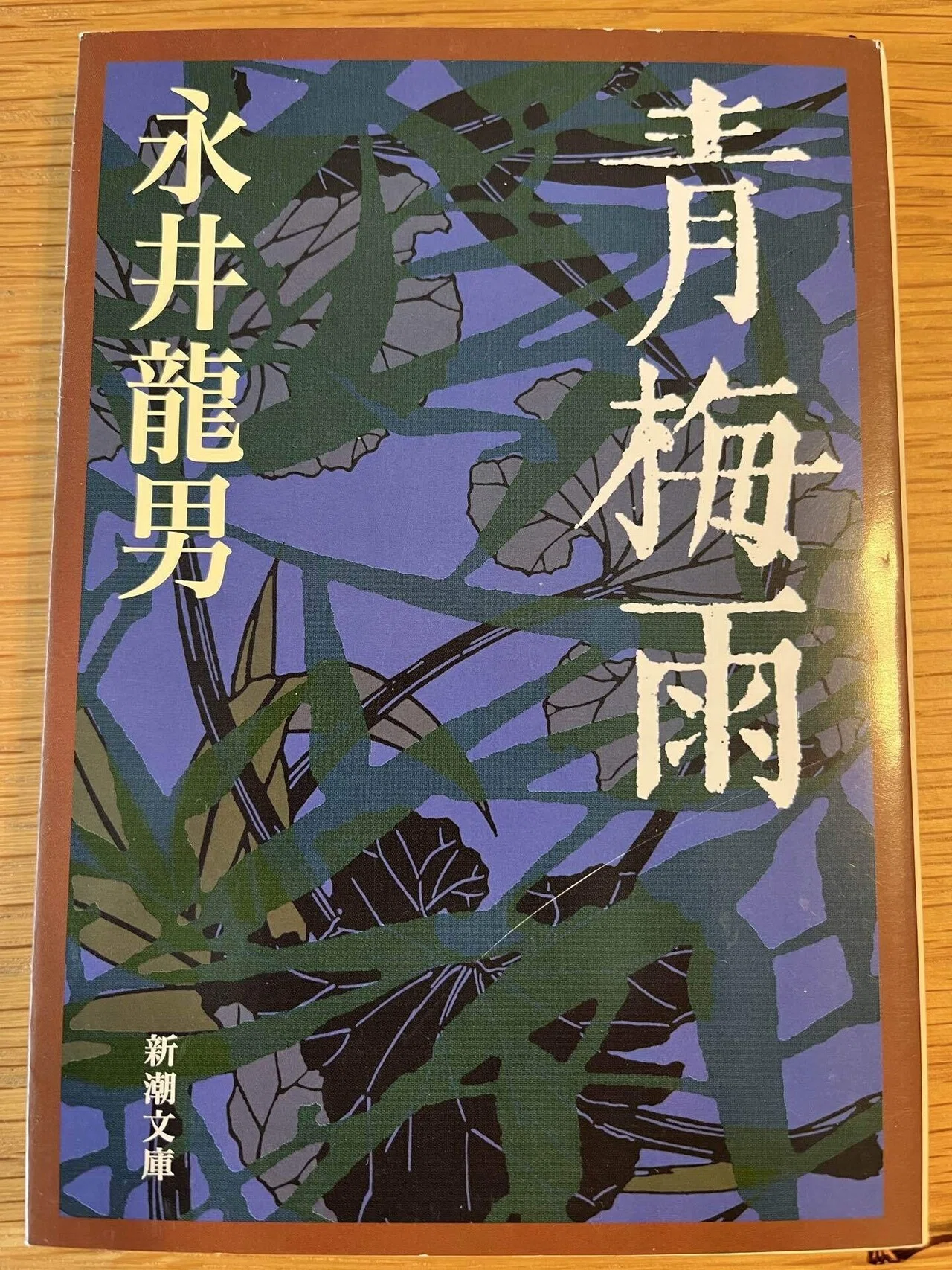 読書感想 | 永井龍男『一個』 | 前半と後半で印象が大きく異なる短編