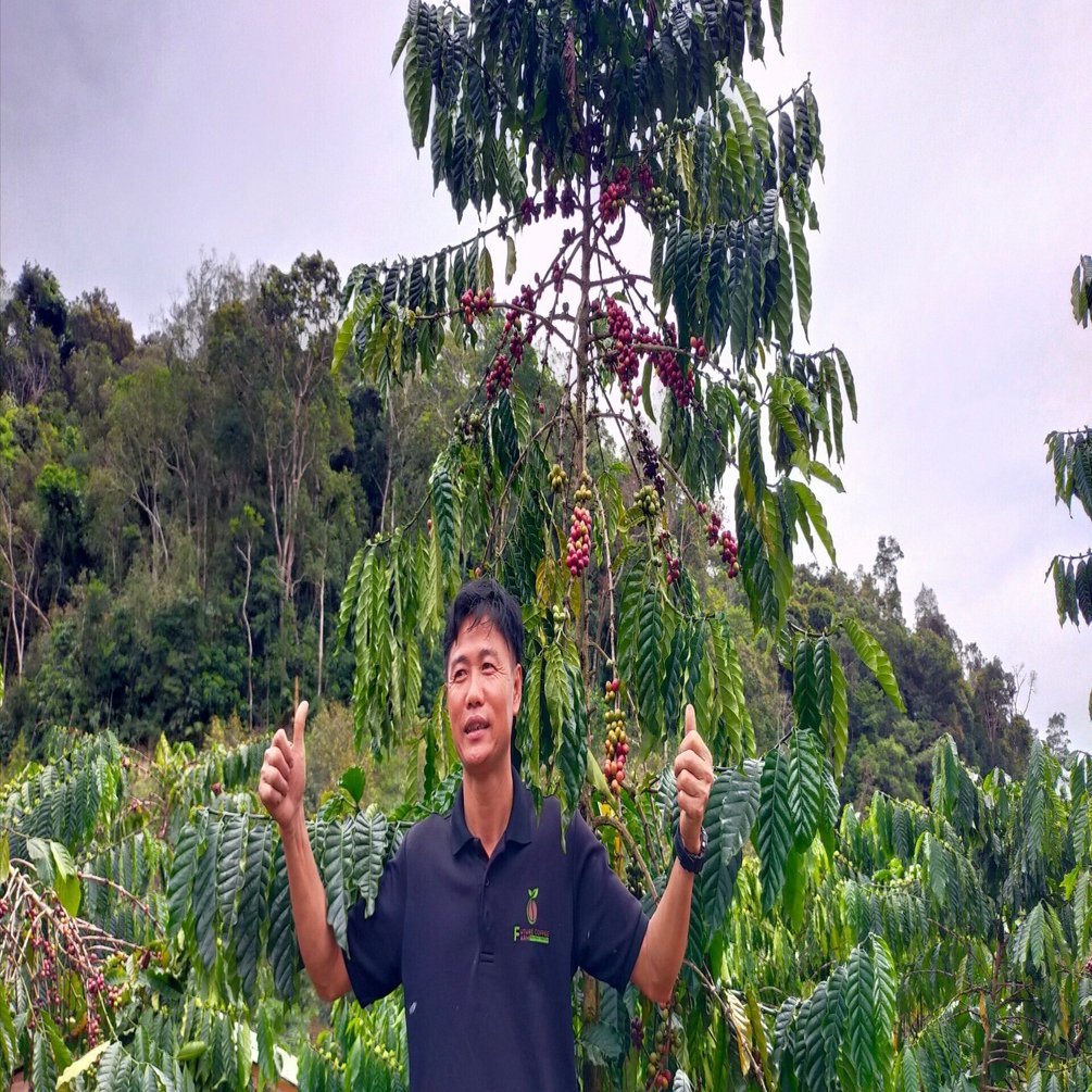 未来にコーヒーを残したい」ベトナム農園で出会った生産者たちの言葉
