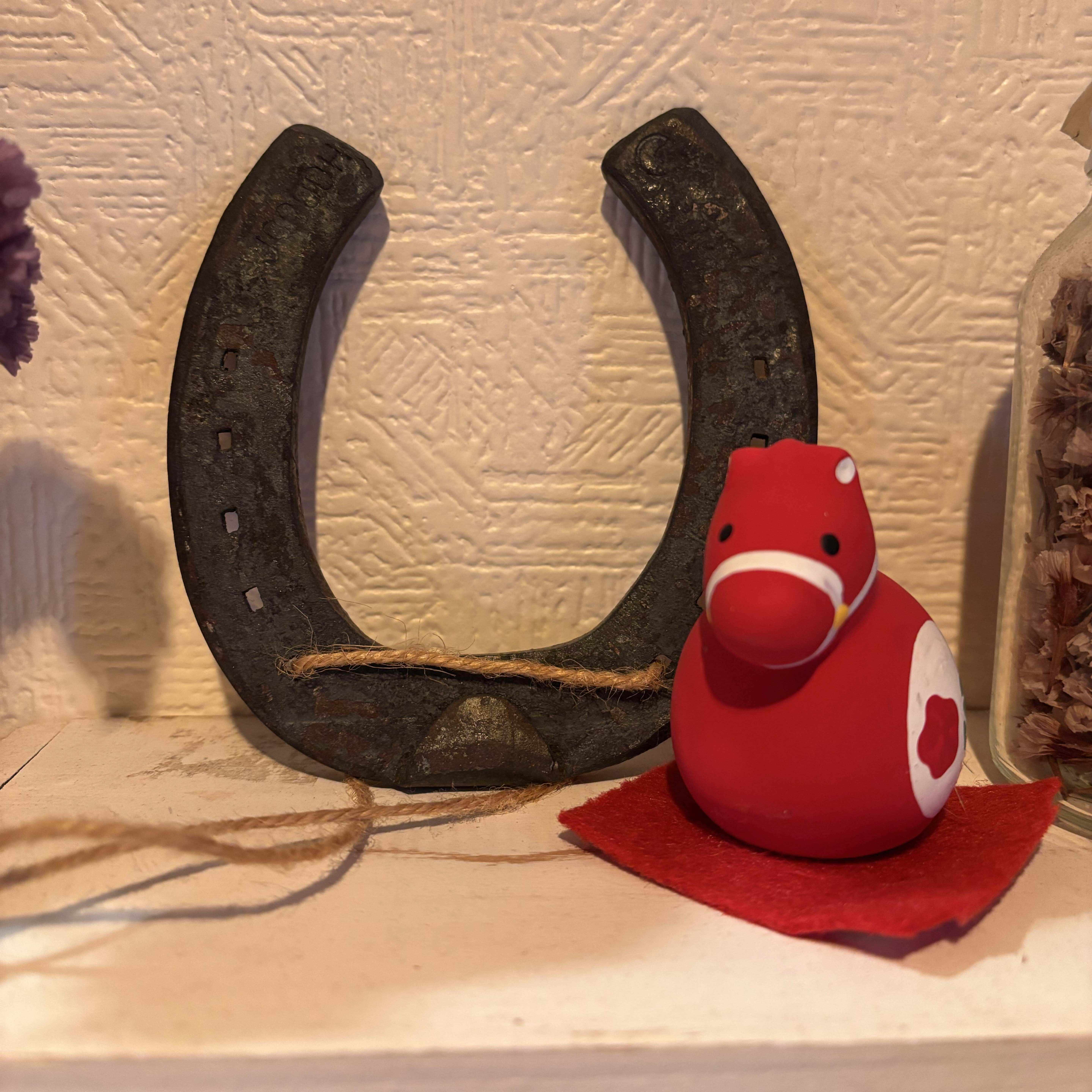 皐月賞】クロワデュノール ヒェーって声出た キタサンブラック産駒は