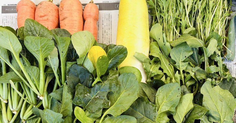 年の暮れ 収穫野菜のデリバリー