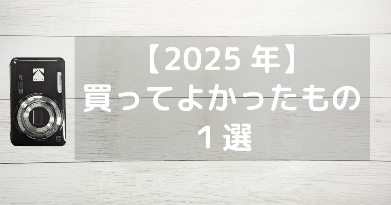 2025年 買ってよかったもの】『KODAK FZ55』で撮り続けたら、人生