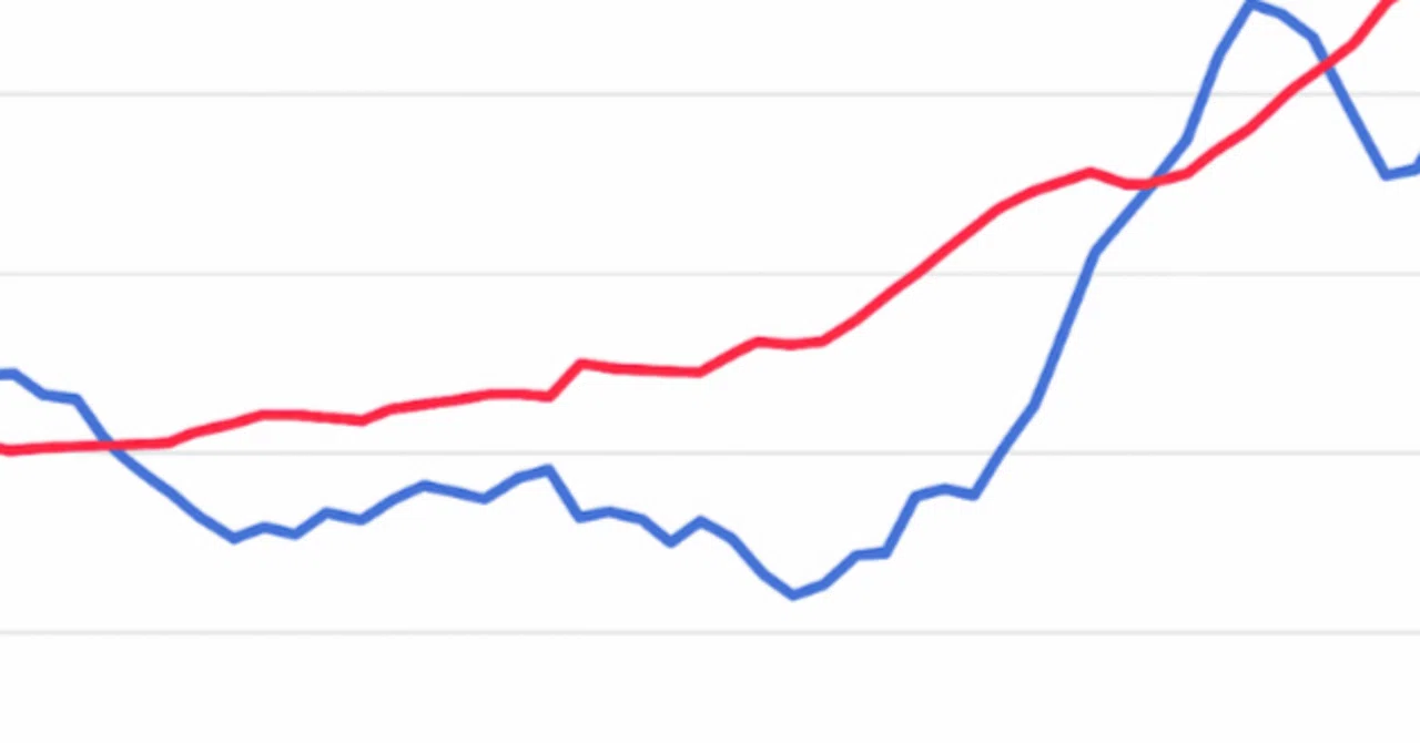 グラボの価格が急騰している(2025年12月現在)｜瑠花2k