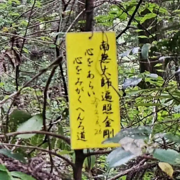 はまゆう