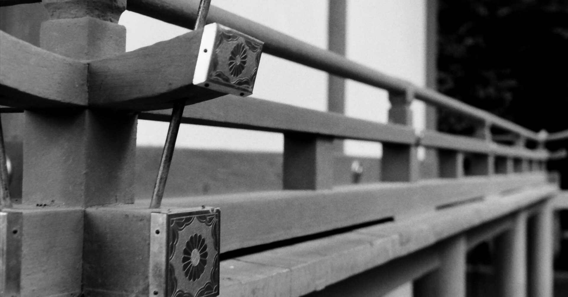 フィルム撮影記2025 その1｜2828くん