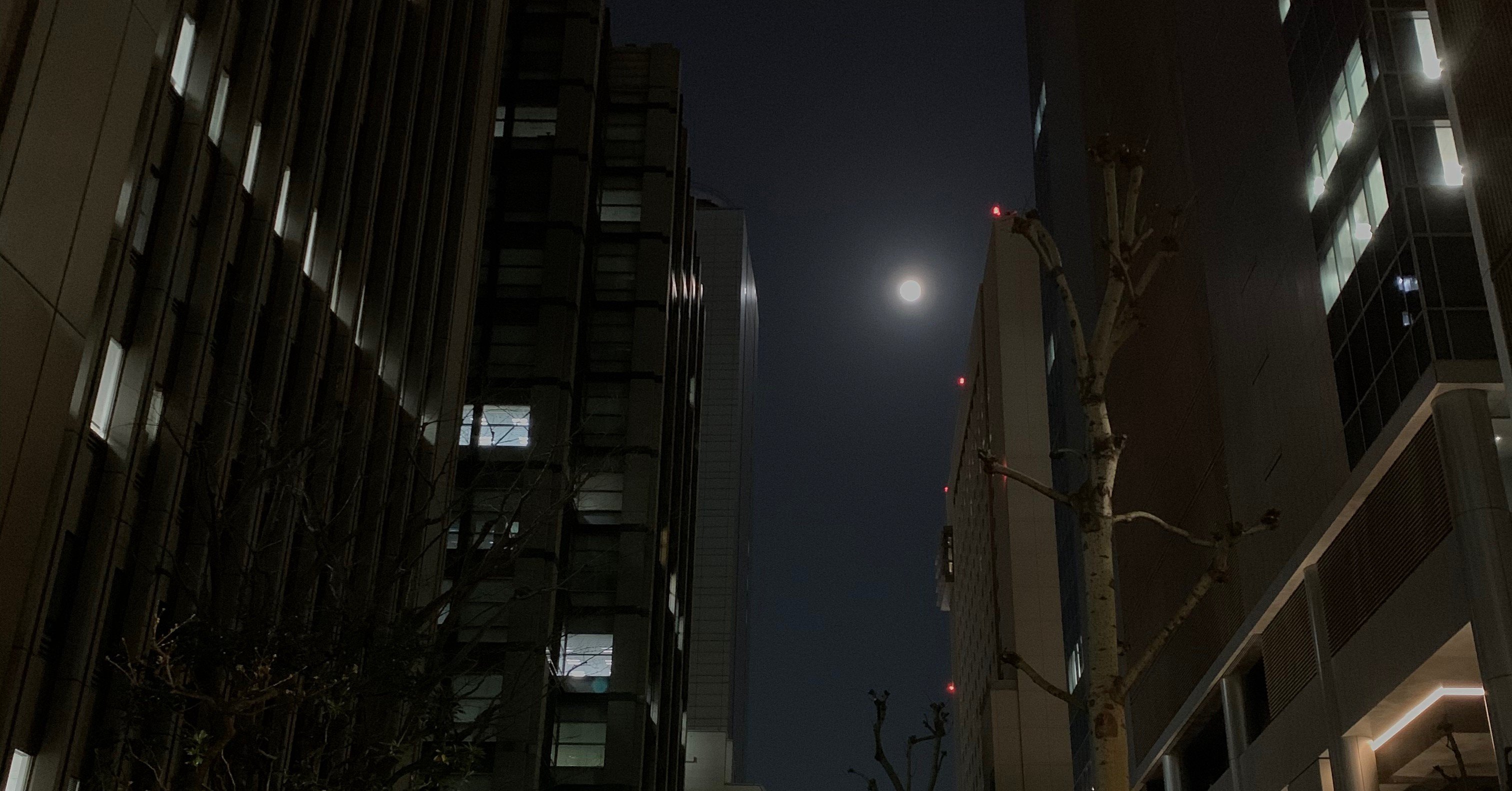 鬼束ちひろが沁みる夜 しめじ Note 鬼束ちひろが沁みる夜 しめじ Note