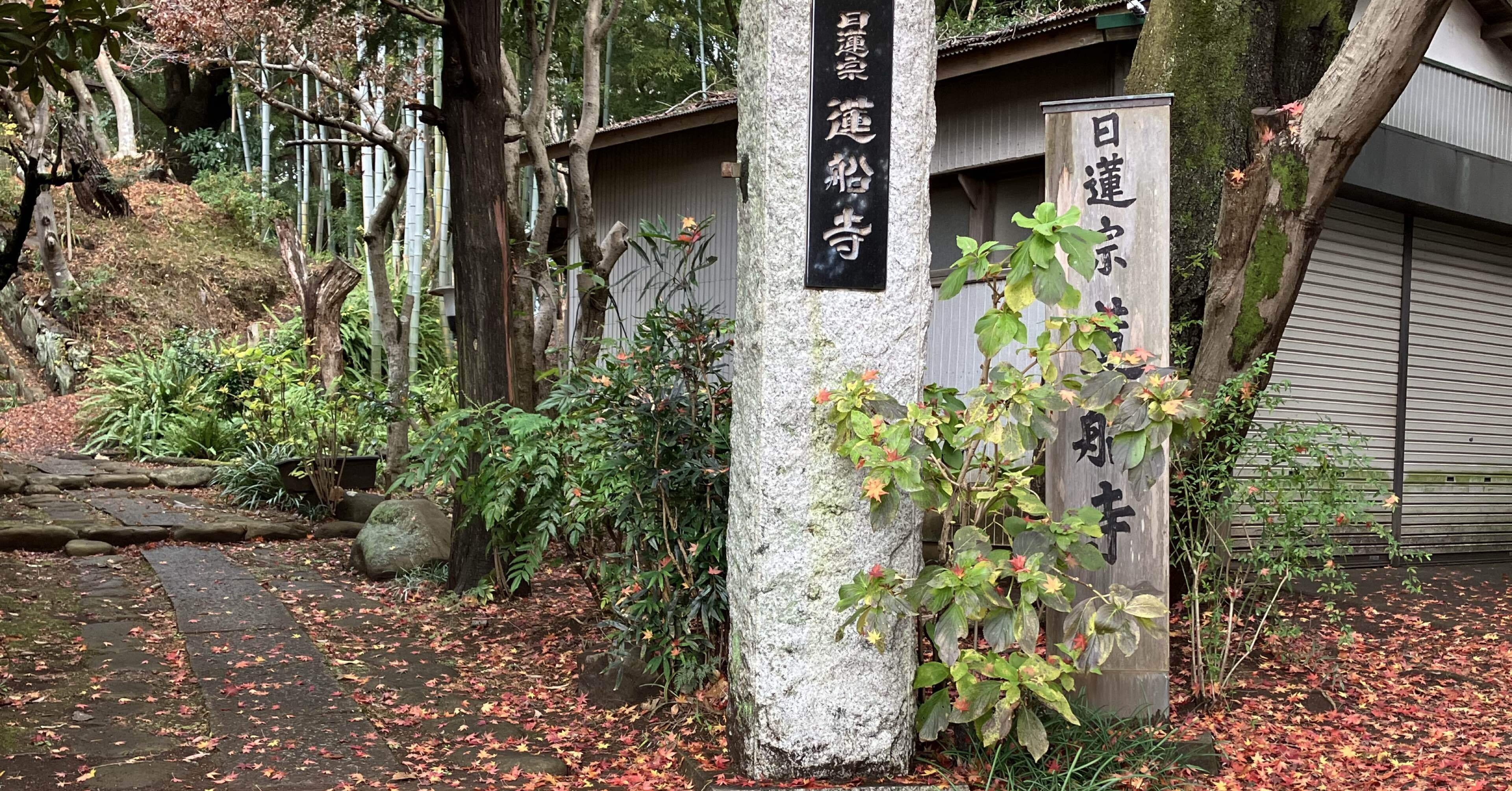 私の掃除は独特？＜雨戸は外してケルヒャー！＞｜峯藤正也