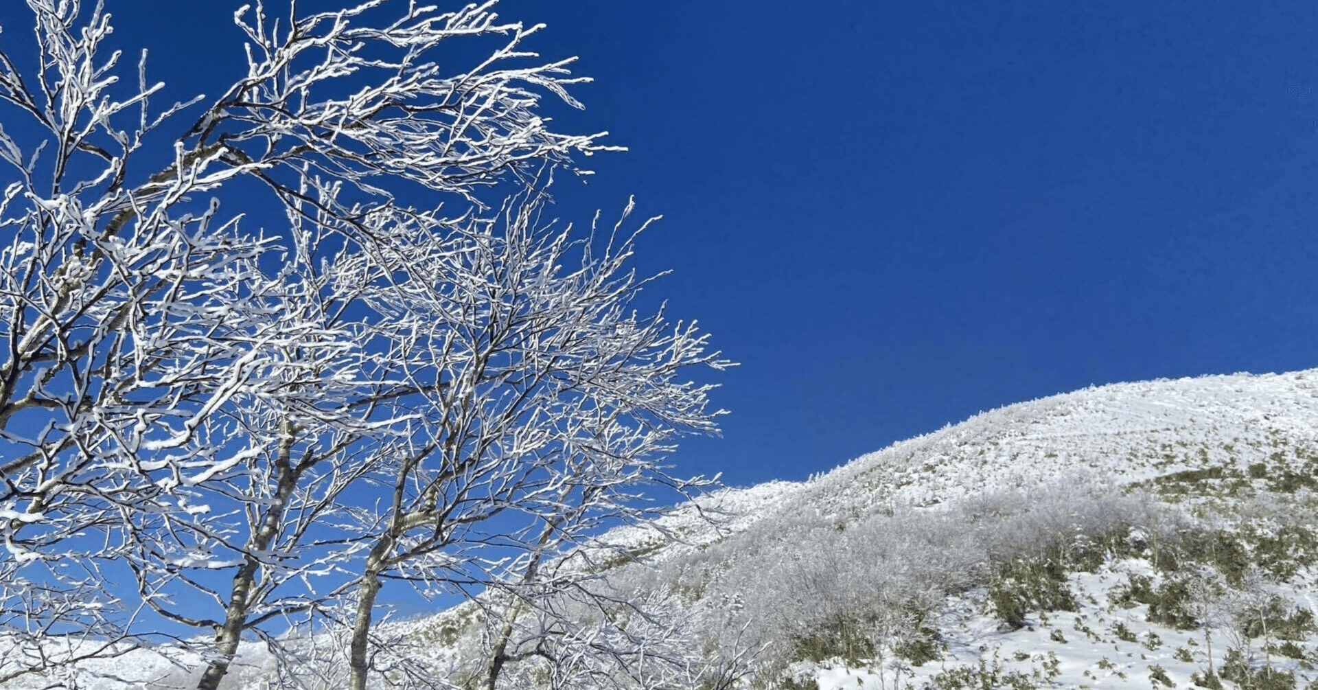 12月２７日、２６日はナスダックも東京市場も、下げ切った株価とチャート、そして、大底値での出来高の多さ、２０２５年の損切させようと、わざと株価 を下げてきた様子。この株価の下げと出来高をみて、むしろわくわ｜kuronekomarimo