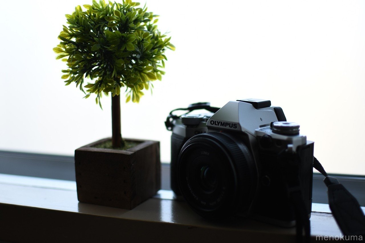 必ずハマる！カメラ沼の世界【ミラーレス編】｜すけさん