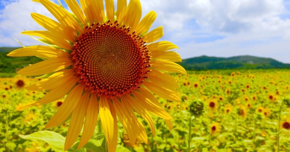 東郷青児　女の四季　タイル 東郷青児 タイル 陶額 女の四季 壁掛け - メルカリ