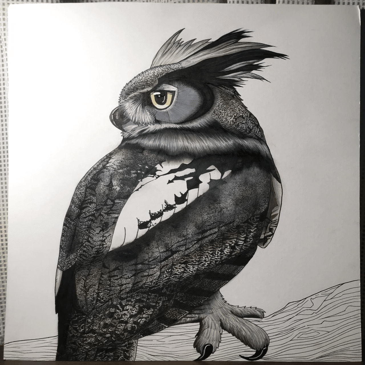 🦉私が一度だけ、ゾーンに入った時に描いた唯一の一枚🦉｜フクロウシホ