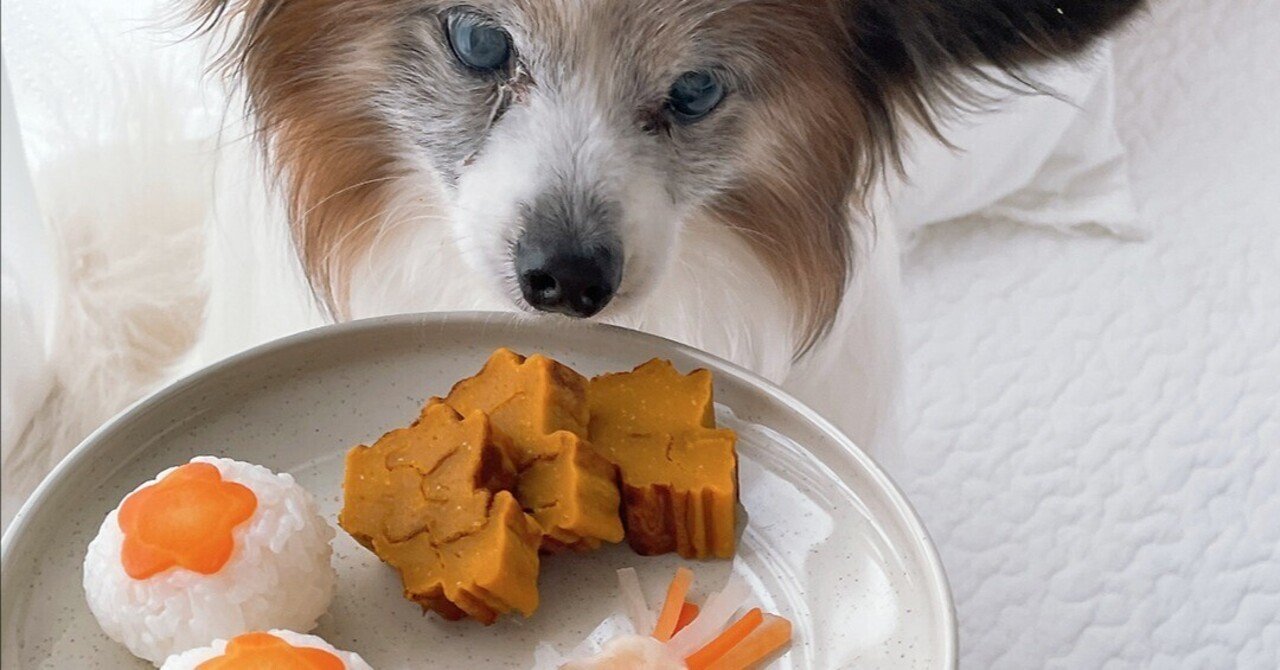 犬ごはん 低タンパク＆シニア犬仕様！簡単野菜おせち3種（手作り犬おやつレシピ