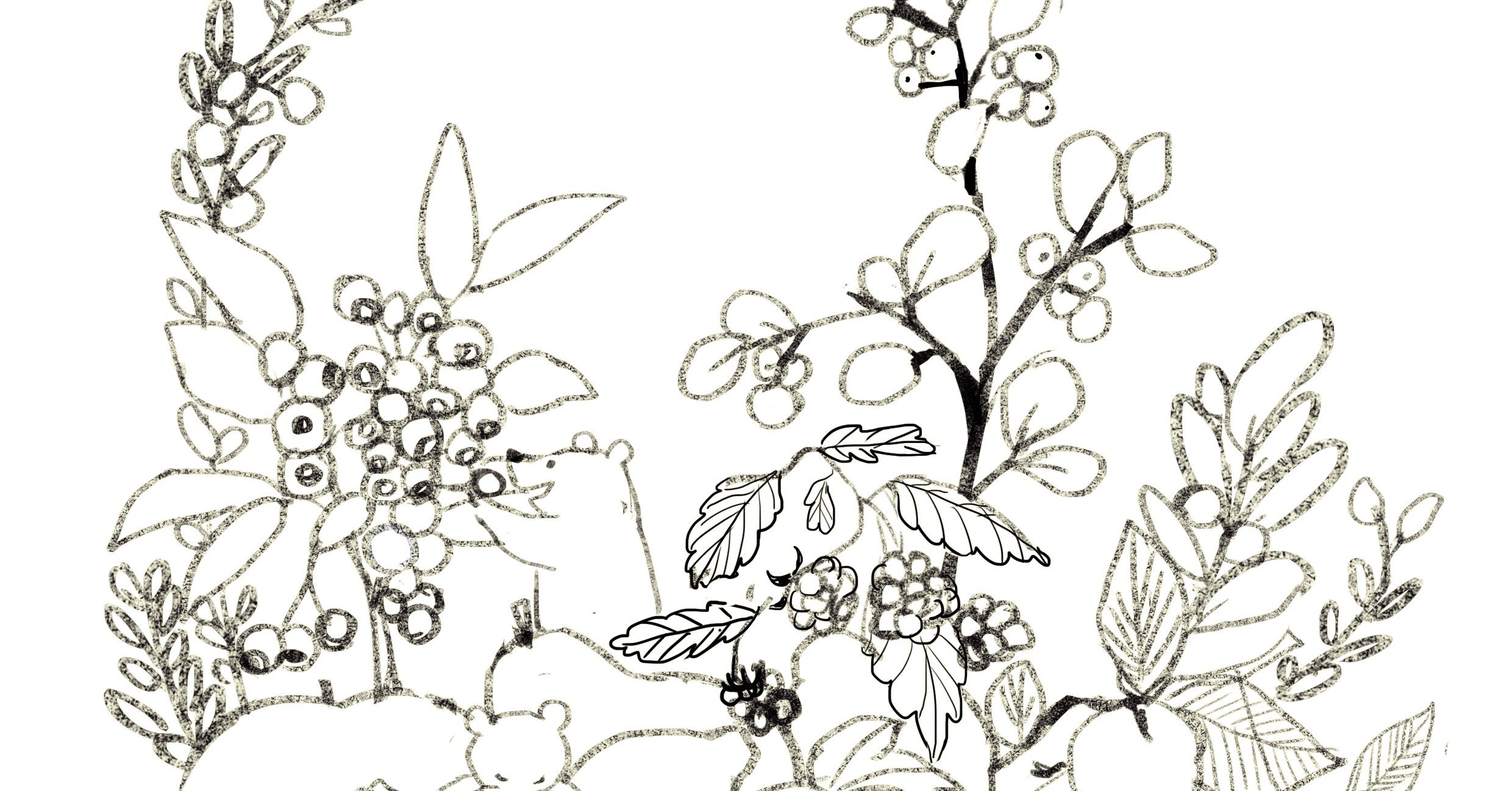 塗り絵配布 ももろ Illustrator 絵本 Note