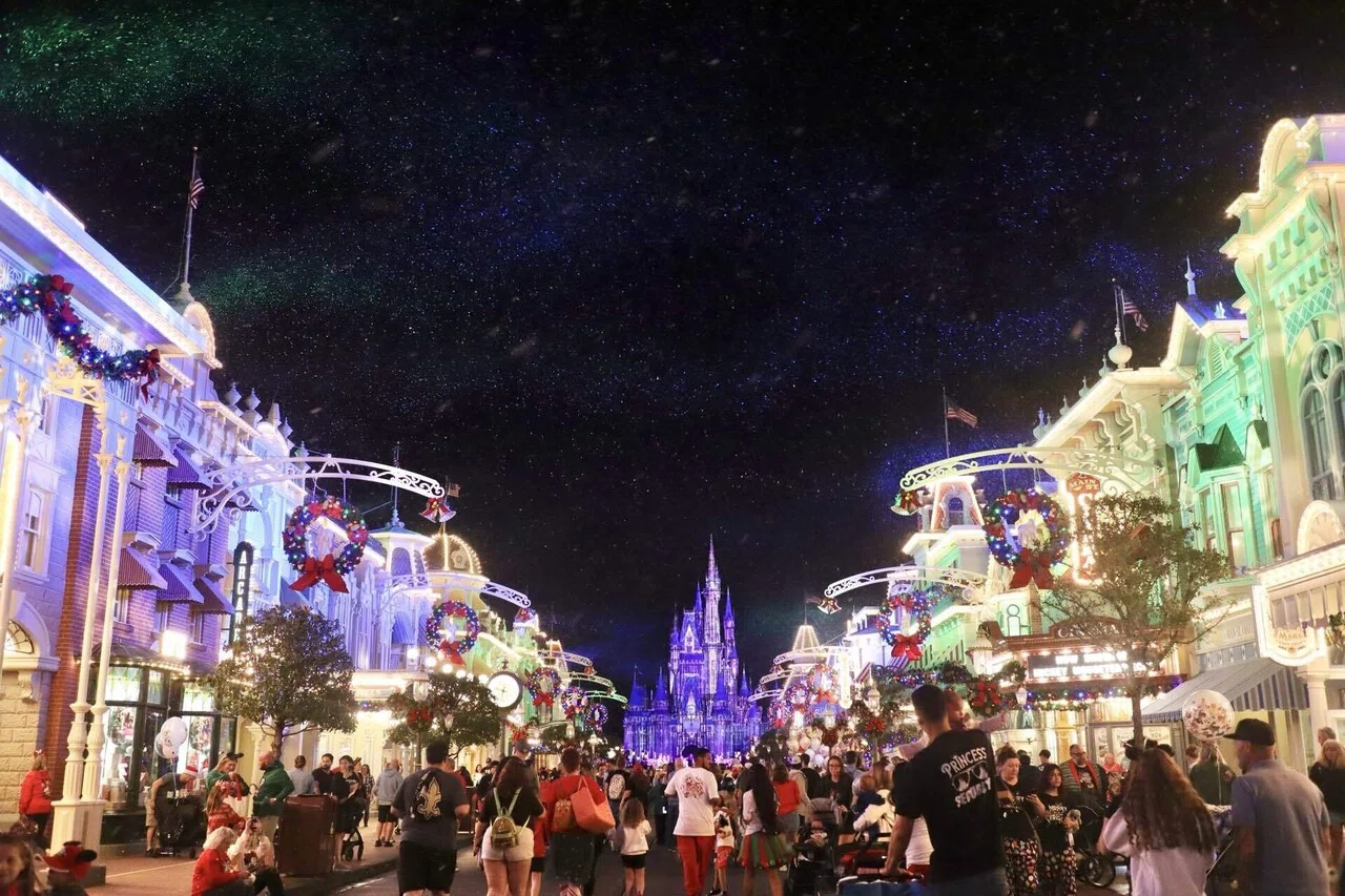 フロリダディズニー②|WDWベリメリ2025|マジックキングダム|個人手配