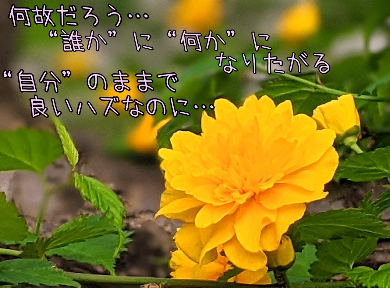 やまぶきの写真に一首 心の声 柘榴 Note やまぶきの写真に一首 心の声 柘榴 Note