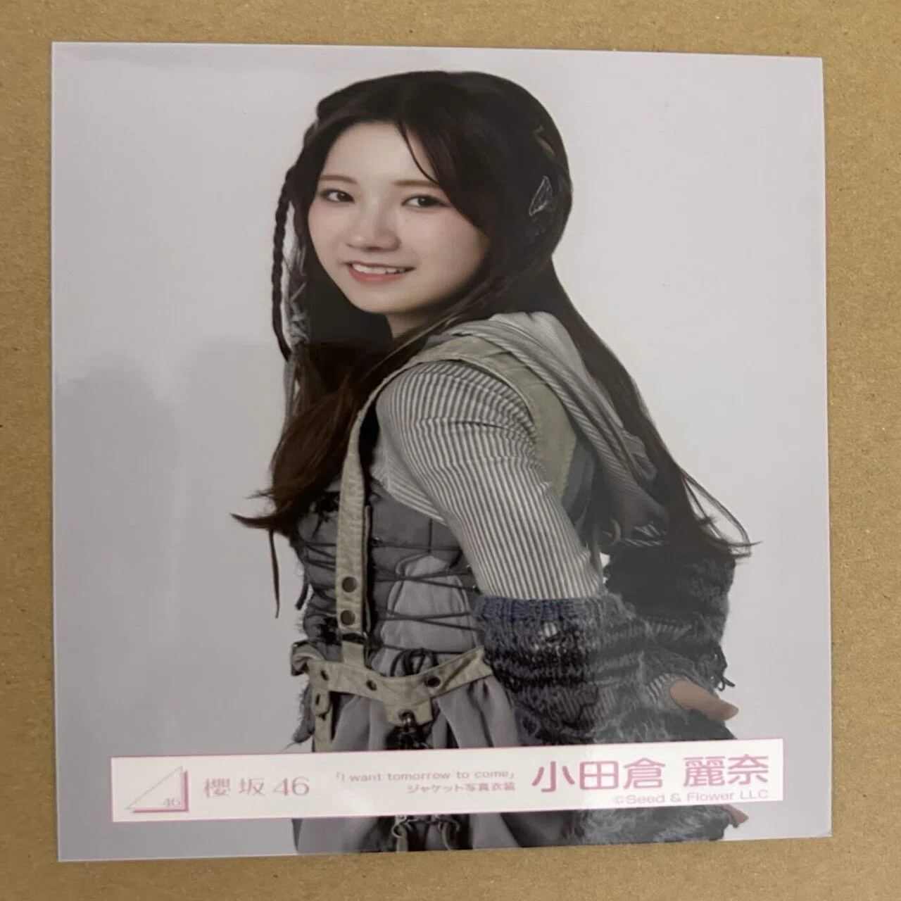 月刊 小田倉麗奈にまつわること（2025年12月号）｜PAU