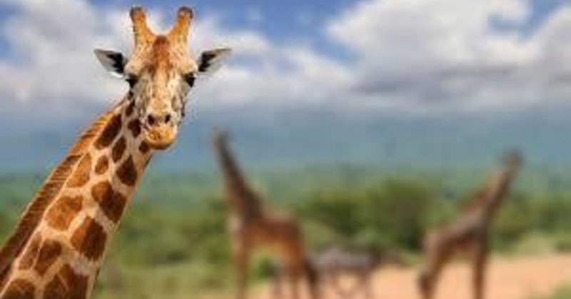 衝撃 交尾が最速で終わる動物達 北国育ちのワダイノート 月間テーマは読書感想文 フォロバ100 ですがスキ返し率70 Note