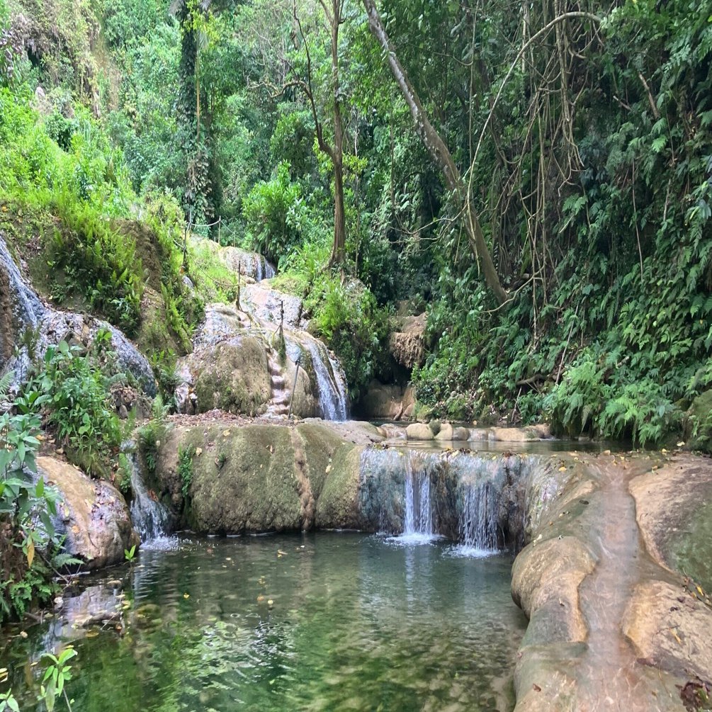 🇦🇺からひとり旅】inバヌアツ🇻🇺色んな人と出会った2/4日目②｜姉妹日記