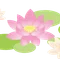ゆりはす