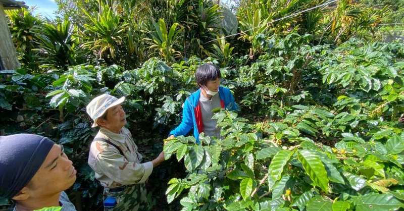 沖縄の 安里珈琲農園 さんへ行ってきました 眞喜志泰斗 創意濃杯者 Note