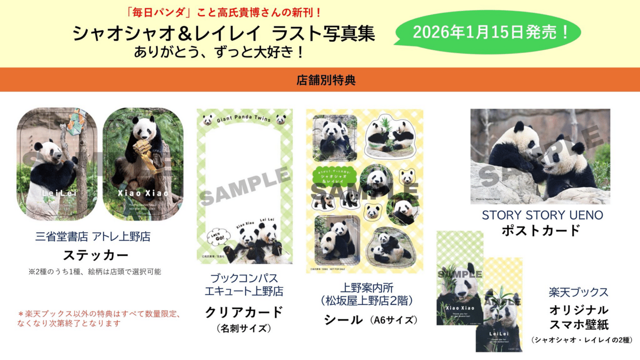 宝島社『シャオシャオ＆レイレイ ラスト写真集 ありがとう、ずっと