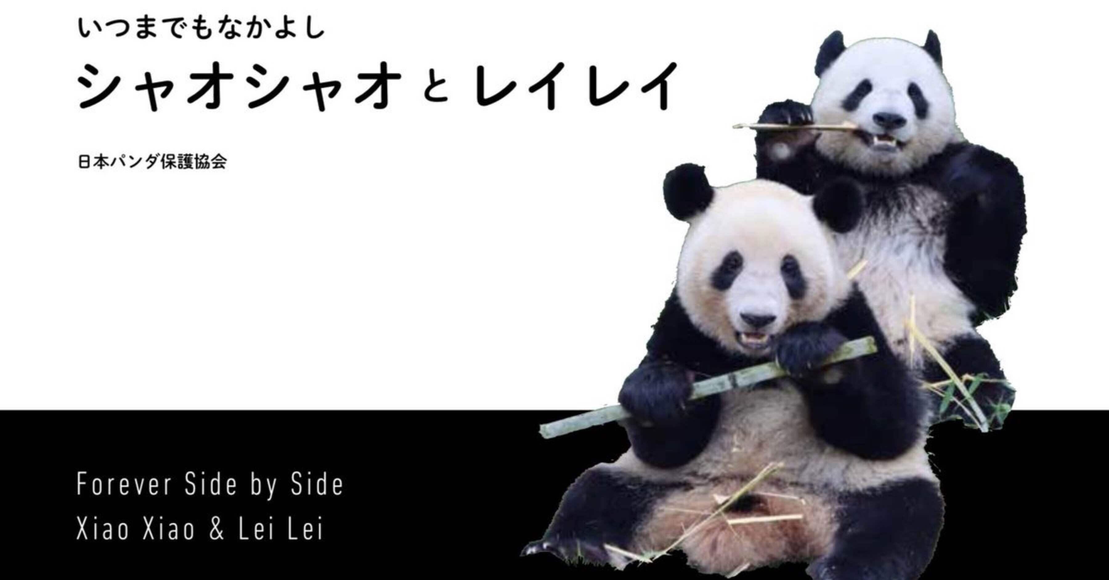 予告※】2月2日上野エリア先行発売！朝日新聞出版『いつまでもなかよし