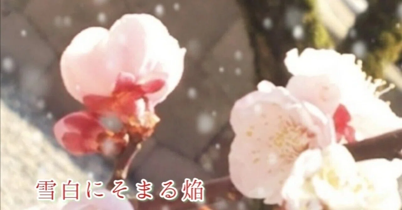 Snow Rabbit -Chitose's Perspective- [Flame Dyed in Snow White]｜千歳
