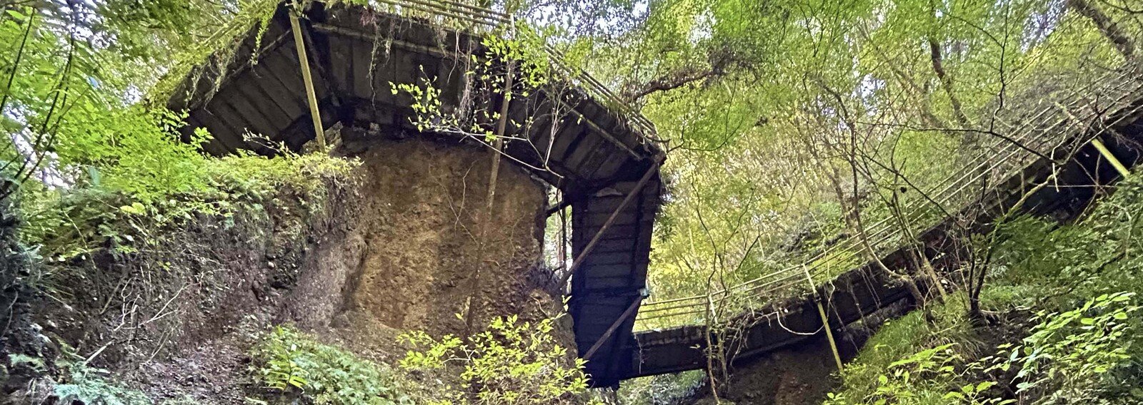 ほっしー💫｜note