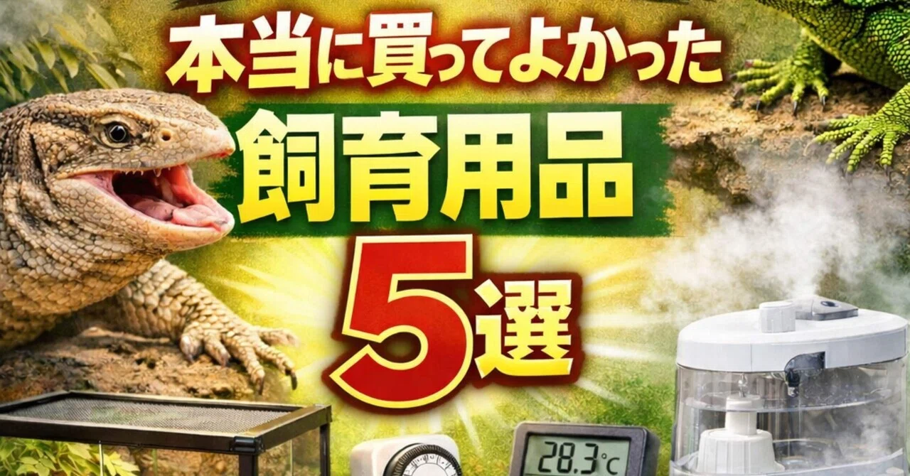 爬虫類飼育関連のアイテム 本当に買ってよかった飼育用品5選｜爬虫類と1R生活