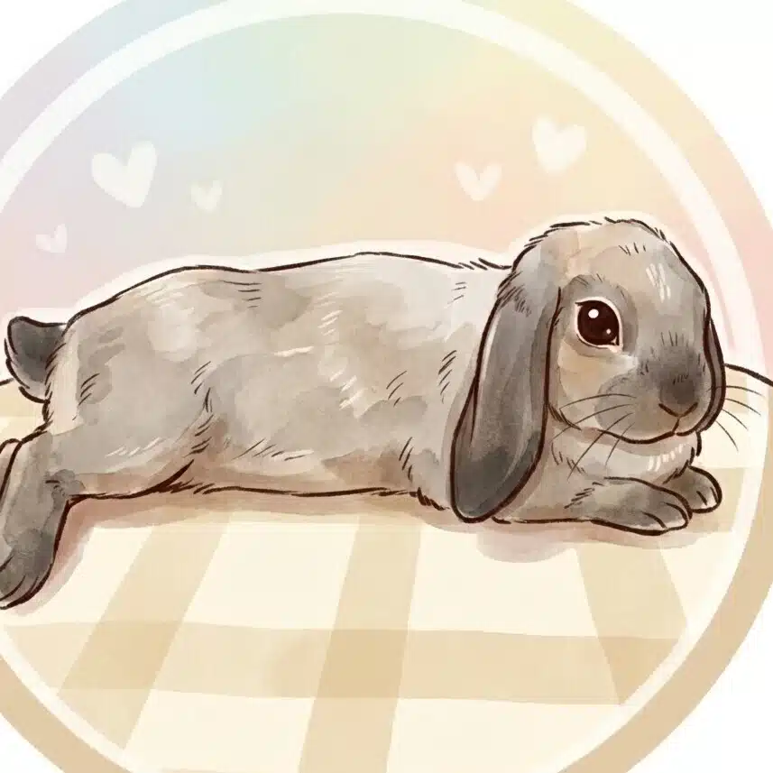 とみちょ