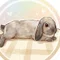 とみちょ