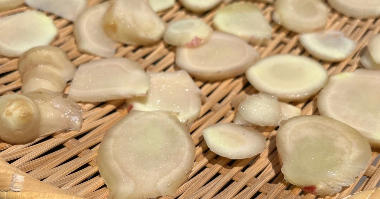 Ginger is a Must-Have for Cold Season｜tomo_totoelife
